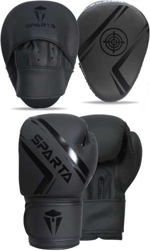 Boxing gloves and focus pads - focus,