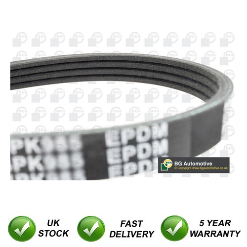 Ribbed drive belt sjr - belt,