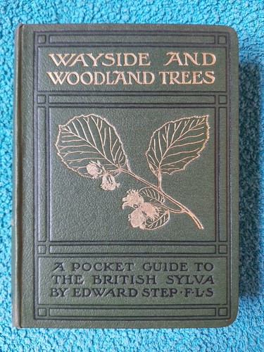Wayside woodland trees by - woodland,,