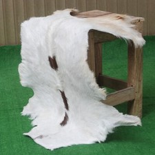 Handmade Gray & White Goat