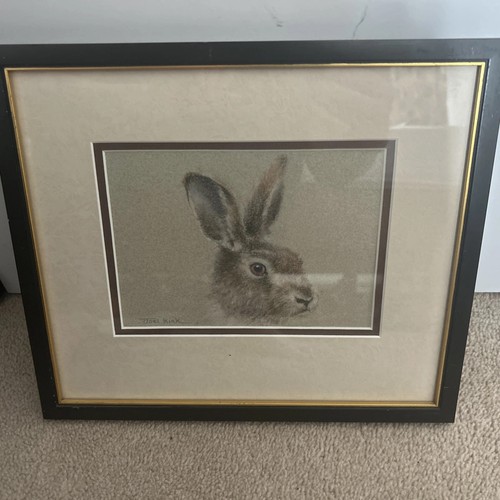 Joel kirk framed rabbit - kirk,