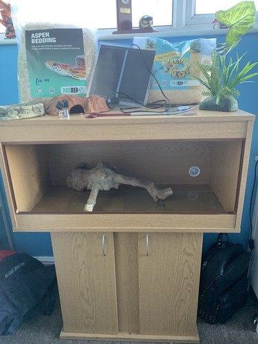 Reptile vivarium 3ft - vivarium,