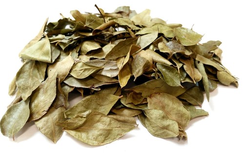 Curry leaves dried - leaves,