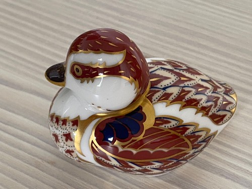 Royal crown derby - derby, swimming