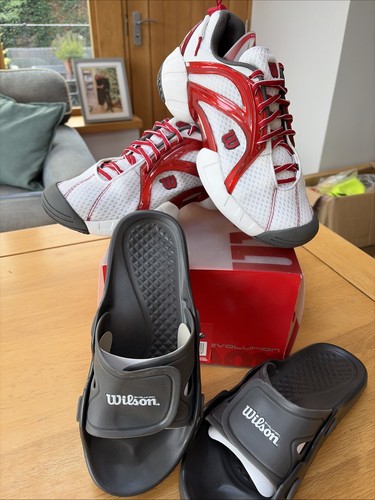 Wilson evolution men - wilson, court