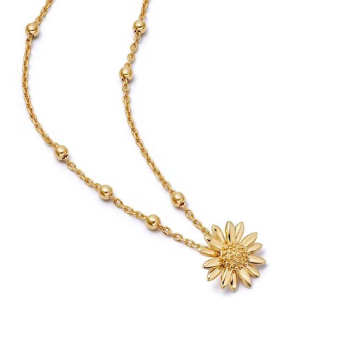 Daisy london gold - daisy,