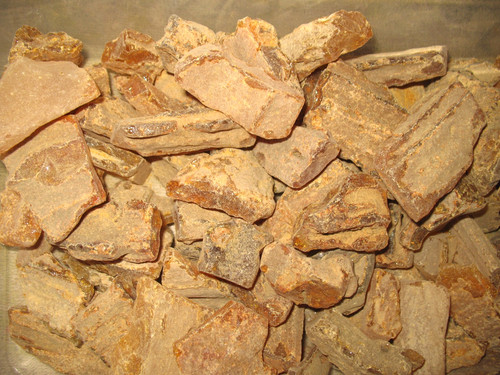 Miocene amber colombia - miocene,