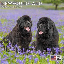 Newfoundland Calendar 2026 -