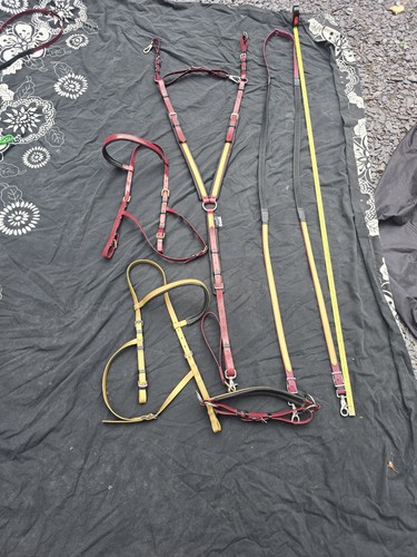 Endurance bridles brest - endurance, x2