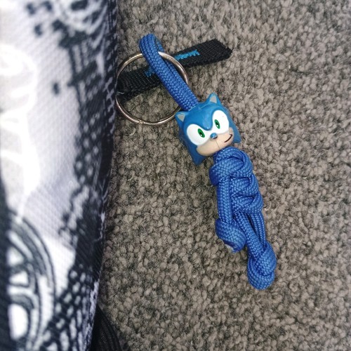 Sonic the hedgehog - the, school