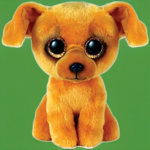 Beanie boo zuzu 15cm light - beanie,