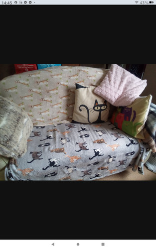 Two seater sofa settee - seater, sofa/settee.