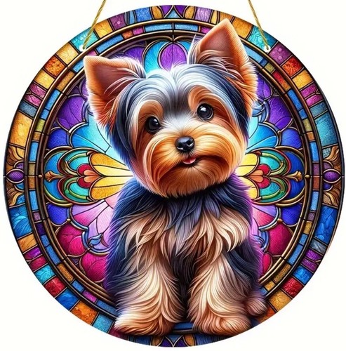 Yorkshire terrier dog - yorkshire, yorkie