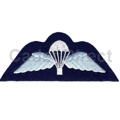 Raf parachutist wings badge - parachutist,