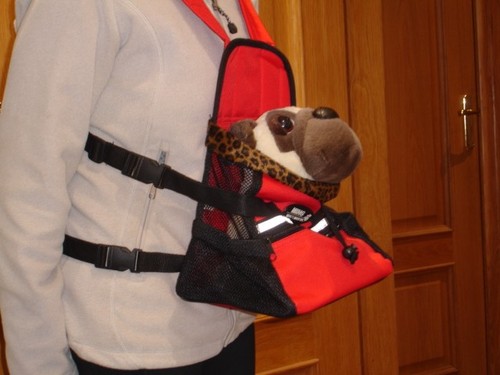 Kangaroo pouch for - puppy, or