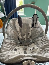 Joie Wish Baby Bouncer