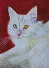 White Cat Oil Pastel Painting Cat Art Pet Painting Pet Artwork Oil Pastel Art