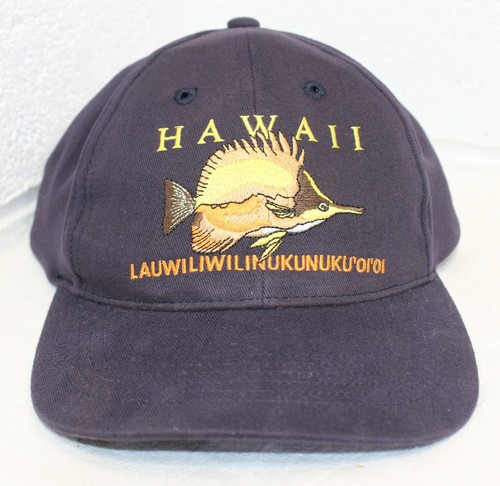 Vintage snapback hat - vintage, hawaii