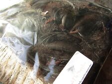 IFS Silver Mallard Dyed Dark Bronze 3 grms, hackle, Cape, Bumble.