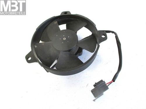 Buell 1125 fan - 1125, r