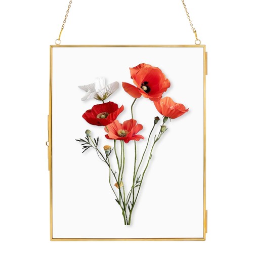 Pressed flower frames wall - pressed, frames,