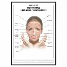 ANTI WRINKLE FACE ANATOMY