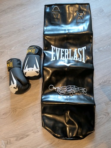 Everlast boxing punch bag - punch,