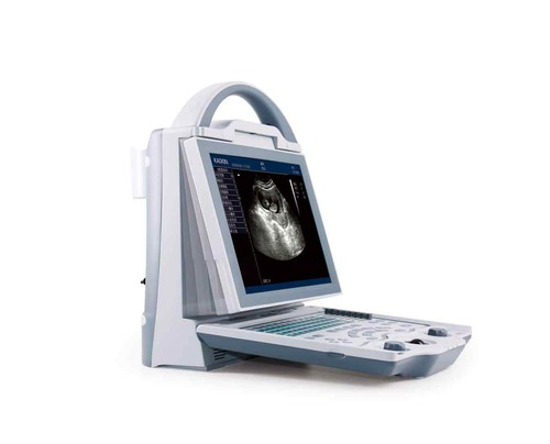Veterinary grade ultrasound - grade,