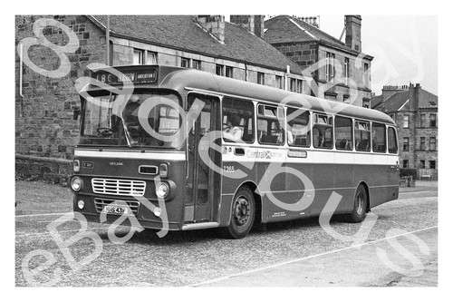 Bus photograph central - bus,