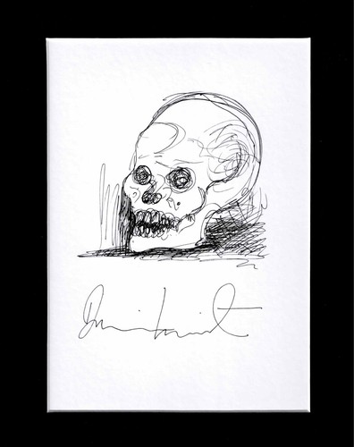 Damien hirst original skull - damien,