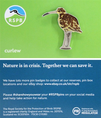 Rspb pin badge niic - pin, curlew