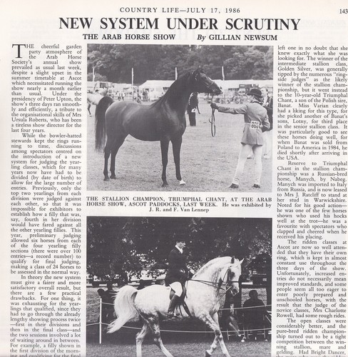 The arab horse show - arab, show: