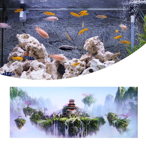Aquarium poster fish tank - poster,