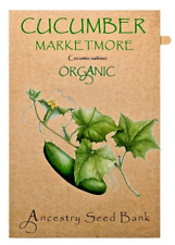 Organic CUCUMBER 🌱