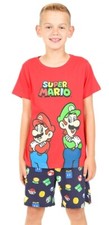 Nintendo Super Mario and Luigi