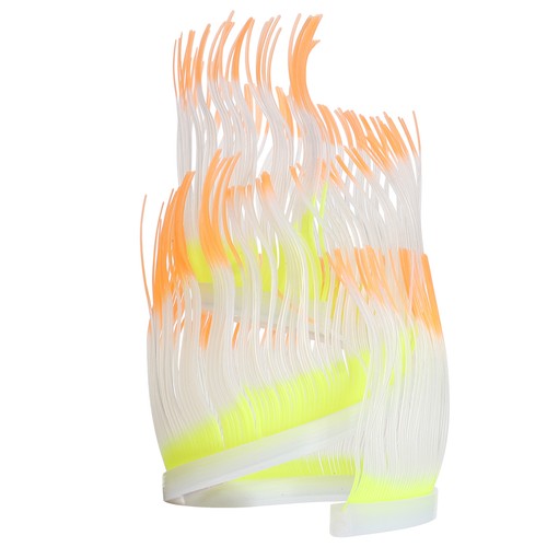 Aquarium coral sea anemone - aquarium,