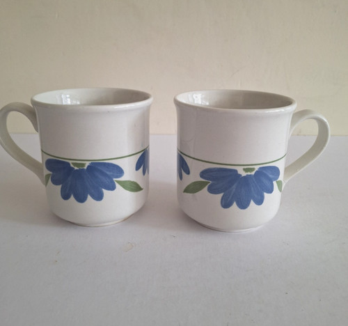 Staffordshire potteries blue - staffordshire,