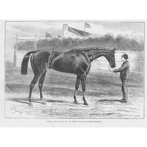 The horse melton winner - the,