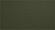 Leather repair paint dye