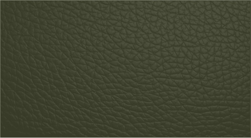 Leather repair paint dye