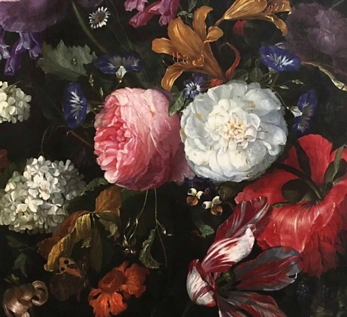 Velvet floral print - velvet, black