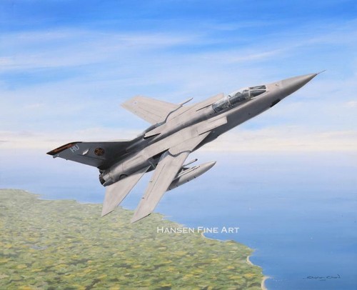 Panavia tornado 111 squadron - panavia,