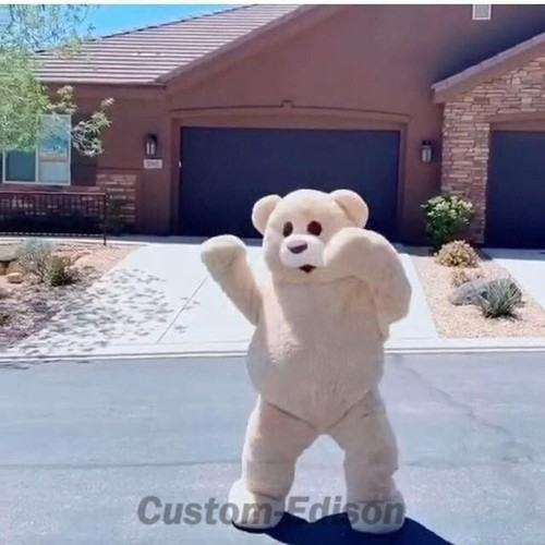Dancing bear mascot - mascot, costume