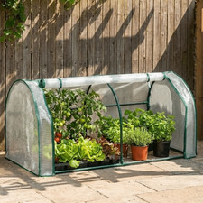 Mini plant greenhouse plastic - plant,