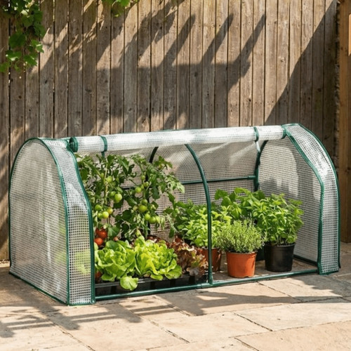 Mini plant greenhouse plastic - mini,