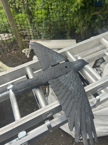 Sportsplast crow flying - sportsplast,