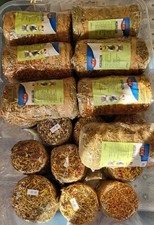 Hay bale rabbit small animal - bale,