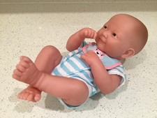 Berenguer  Anatomically