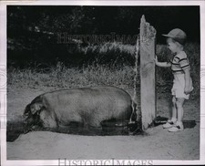 1953 Press Photo Conrad Imhaus