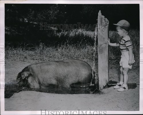 1953 press photo - press, imhaus